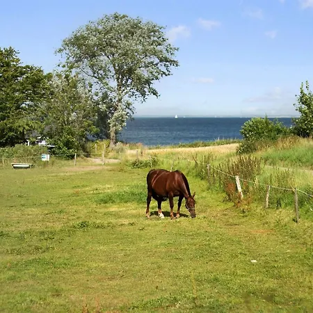 Ady - 150m From The Sea By Interhome Feriehus