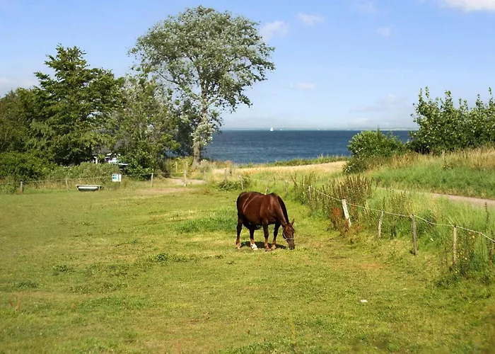 Ady - 150m From The Sea By Interhome Holiday home